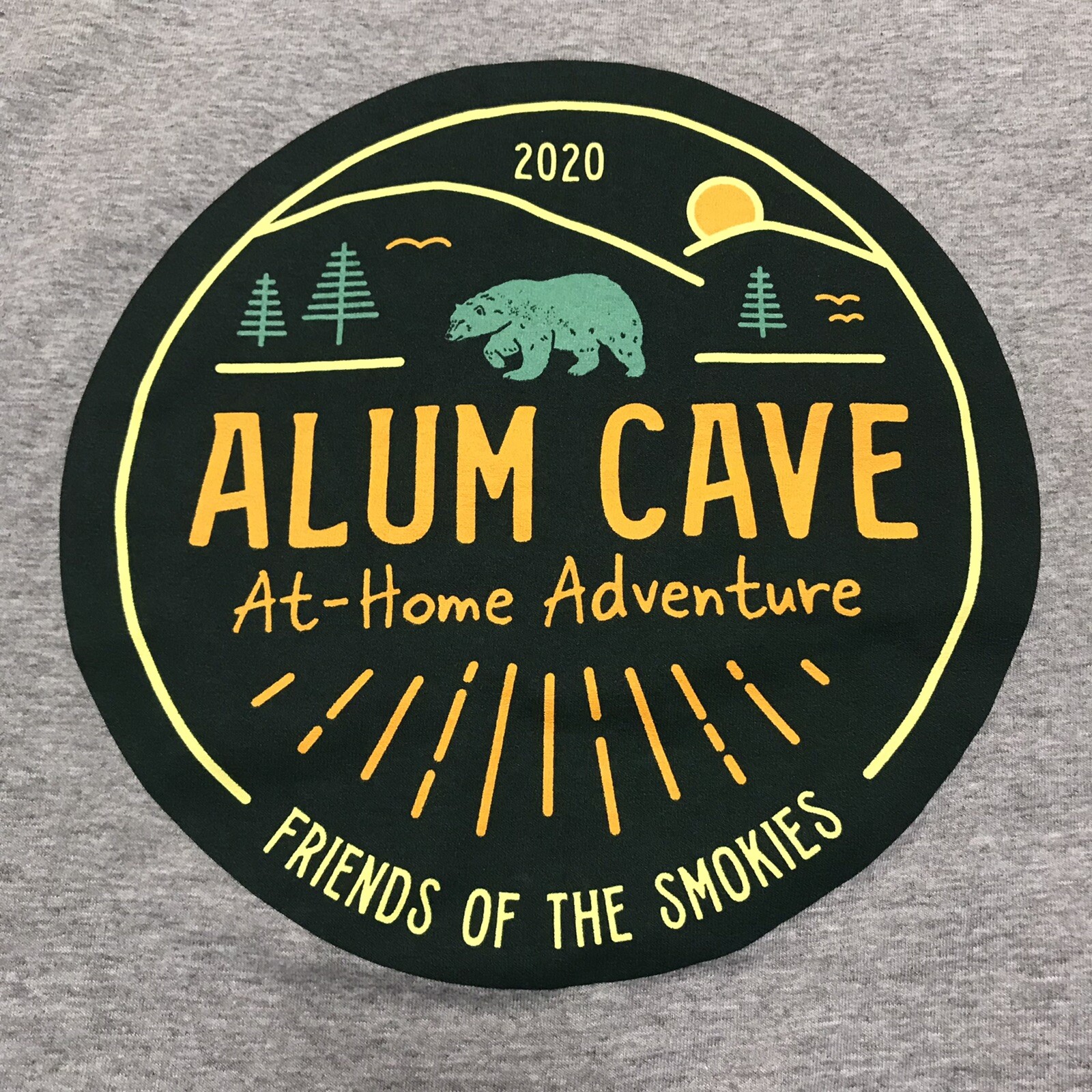 2020 Alum Cave At Home Adventure Friends of the Smokies GSMNP T-Shirt Mens Small gallery