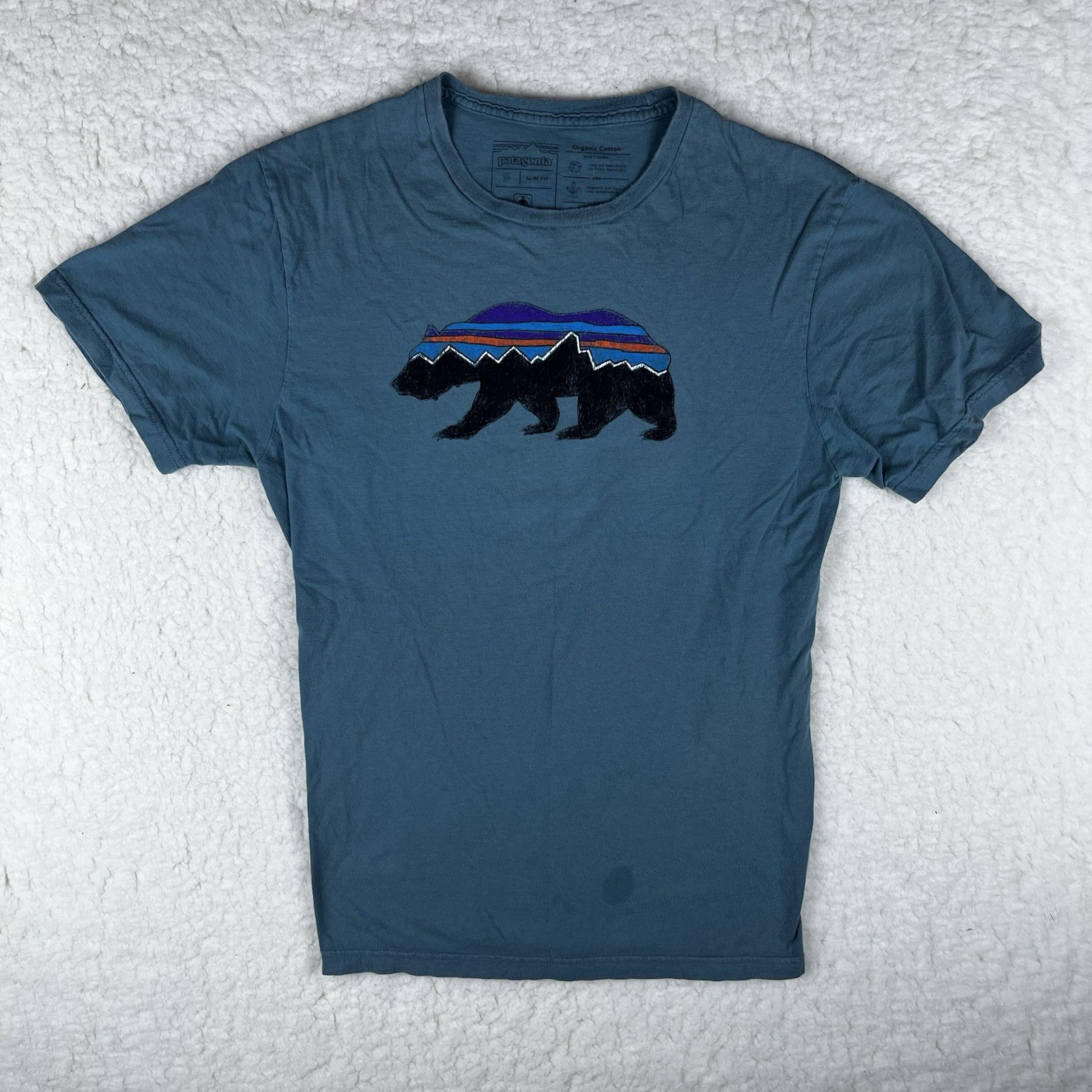 Patagonia Mens Slim Fit Small Teal Green Graphic Tshirt Bear Logo Hiking Outdoor gallery