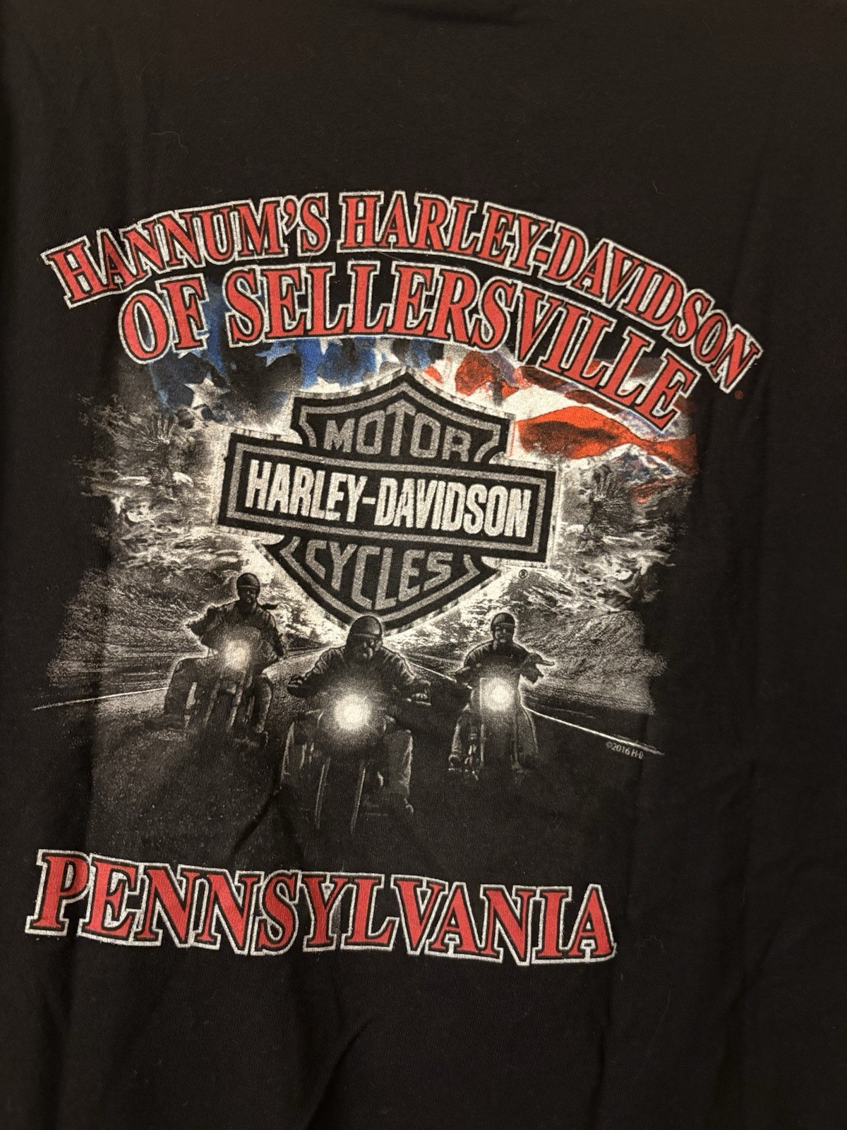 Harley Davidson Biker Built Sellersville PA Snake Skull T Shirt Size Large Black gallery
