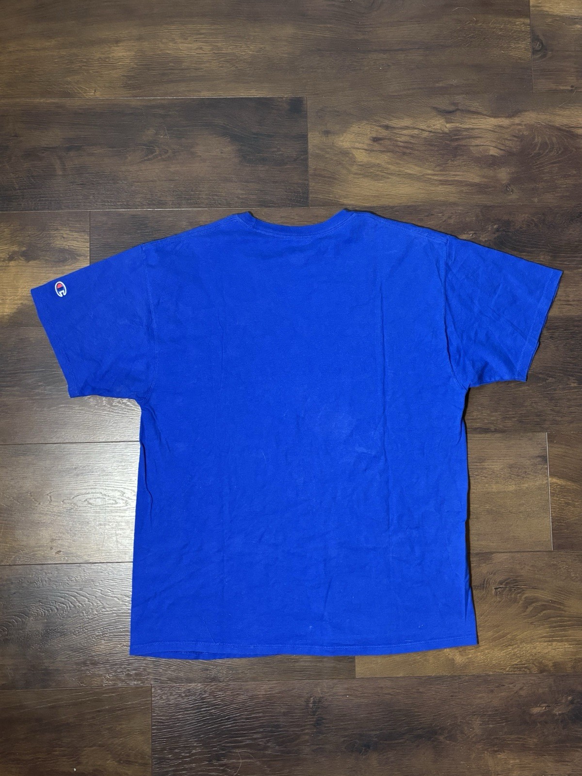 Champion Authentic Men’s Large Blue Spell out T-shirt Embroidered Logo gallery