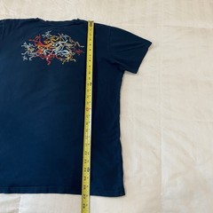 Vintage Arcteryx Multi Bird Tee Gen 1 – Excellent- Mens Large – Admiral – Rare
