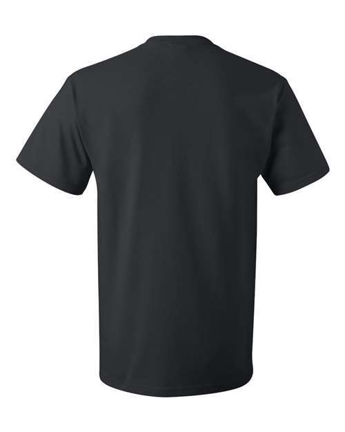 Fruit of the Loom - 3930R - HD Cotton Short Sleeve T-Shirt - BLACK - LOT gallery
