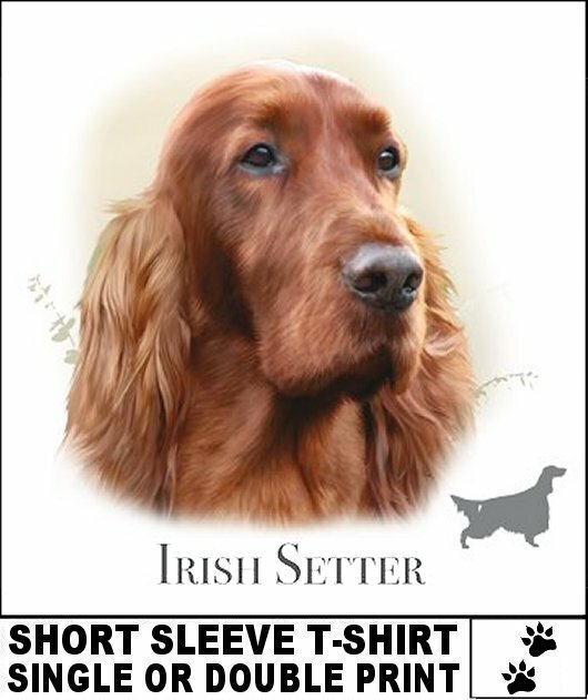 BEAUTIFUL CHAMPION CLASSIC IRISH SETTER K9 DOG BREED SHORT SLEEVE T-SHIRT AB706