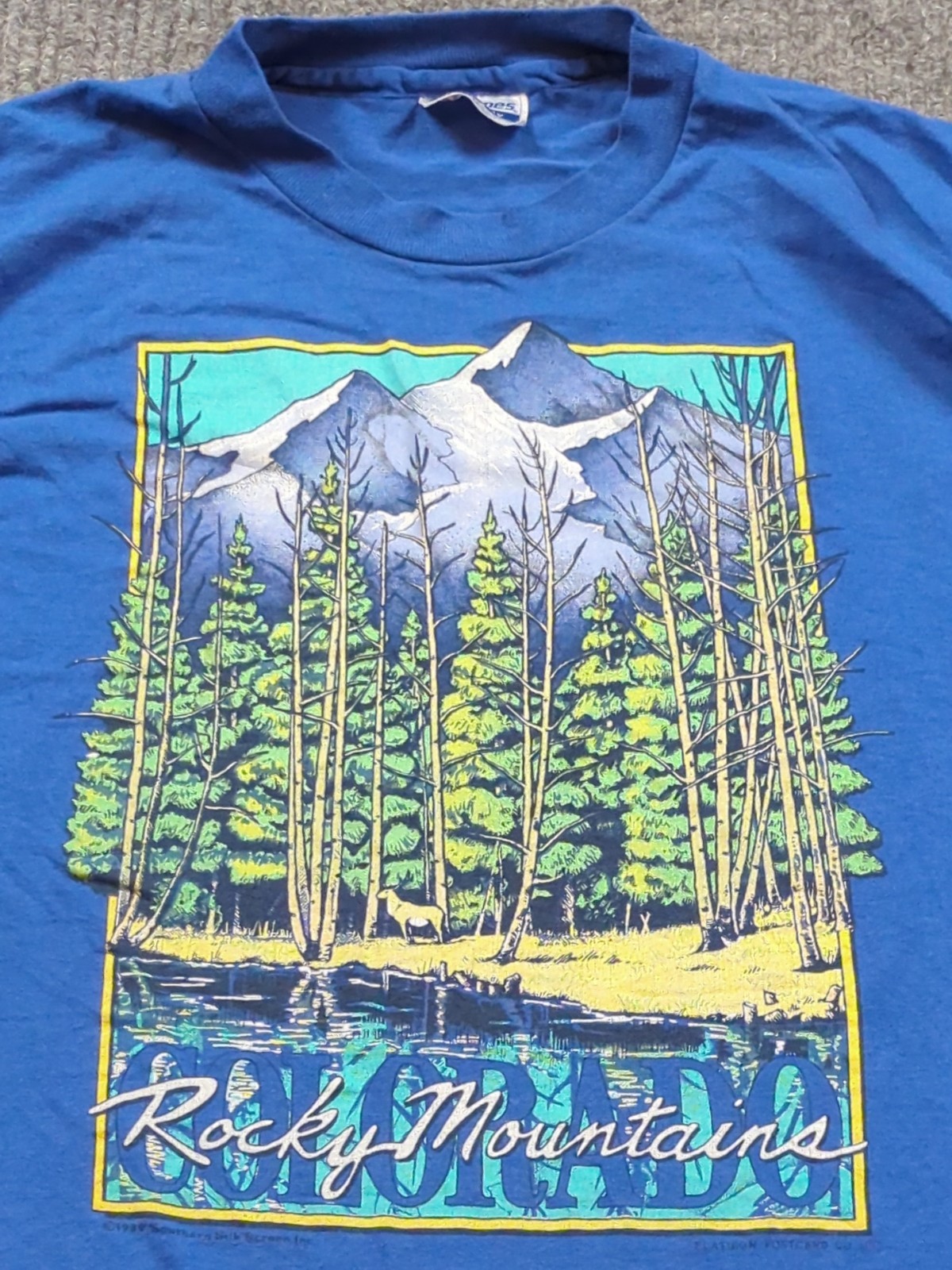 Vintage Rocky Mountains Shirt Mens Medium Blue 80s Short Sleeve Hanes Colorado gallery
