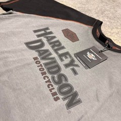 Harley-davidson Men’s Grey and Black T-shirt