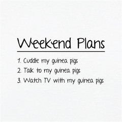 Weekend Plans Guinea Pigs – Mens Ringer – Guineas Pig Boars Pet Love Cute Funny