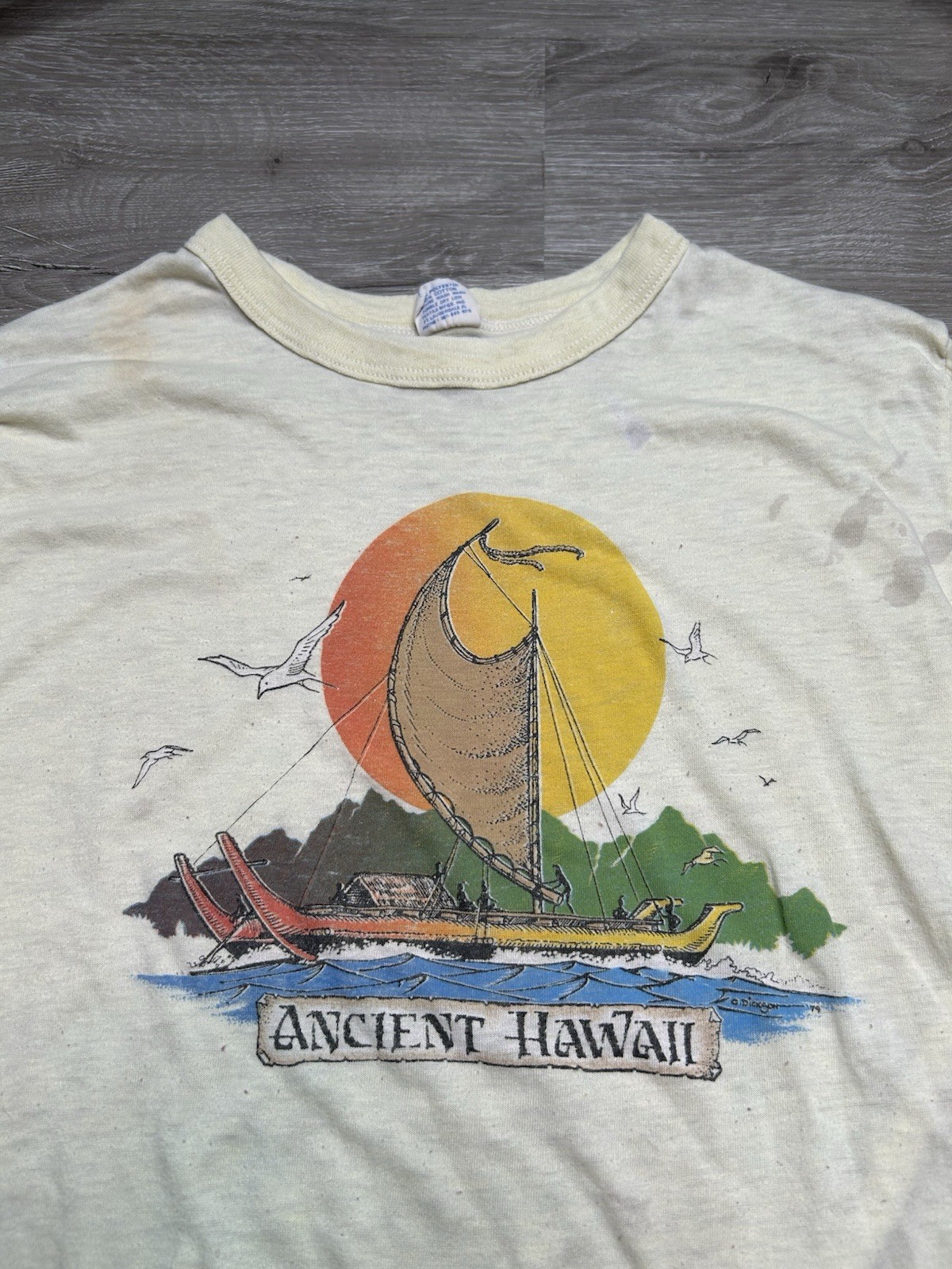 Vintage 70s 1979 Ancient Hawaii T-Shirt single stitch Boat Thin Distressed