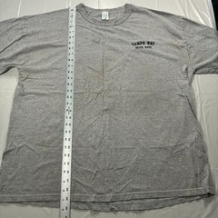 Tampa Bay Devil Rays Vintage T-shirt Grey Russell Athletic XXL – Staining
