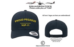 Patrol (VP), Unmanned Patrol (VUP), Special Projects-USN Squadron Hats D2