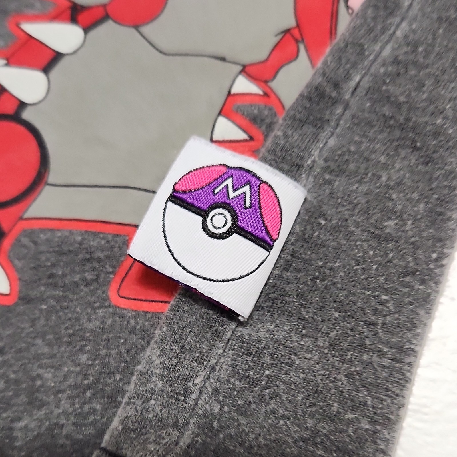 Hybrid Apparel Pokémon Hoenn Legendary Kyogre Rayquaza Groudon Tee Men’s S Gray gallery