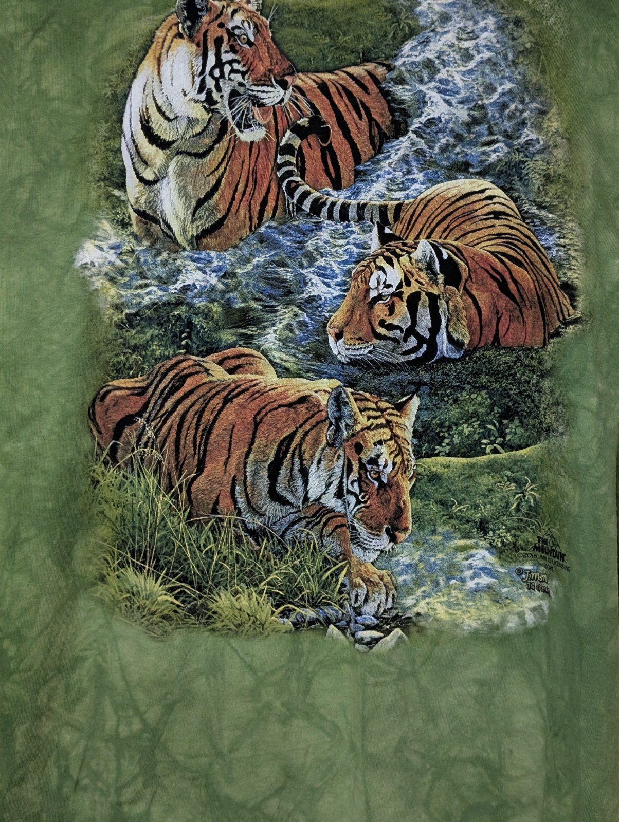 The Mountain Youth T-shirt Green Whimsical Tigers Retired Logo XL #6601