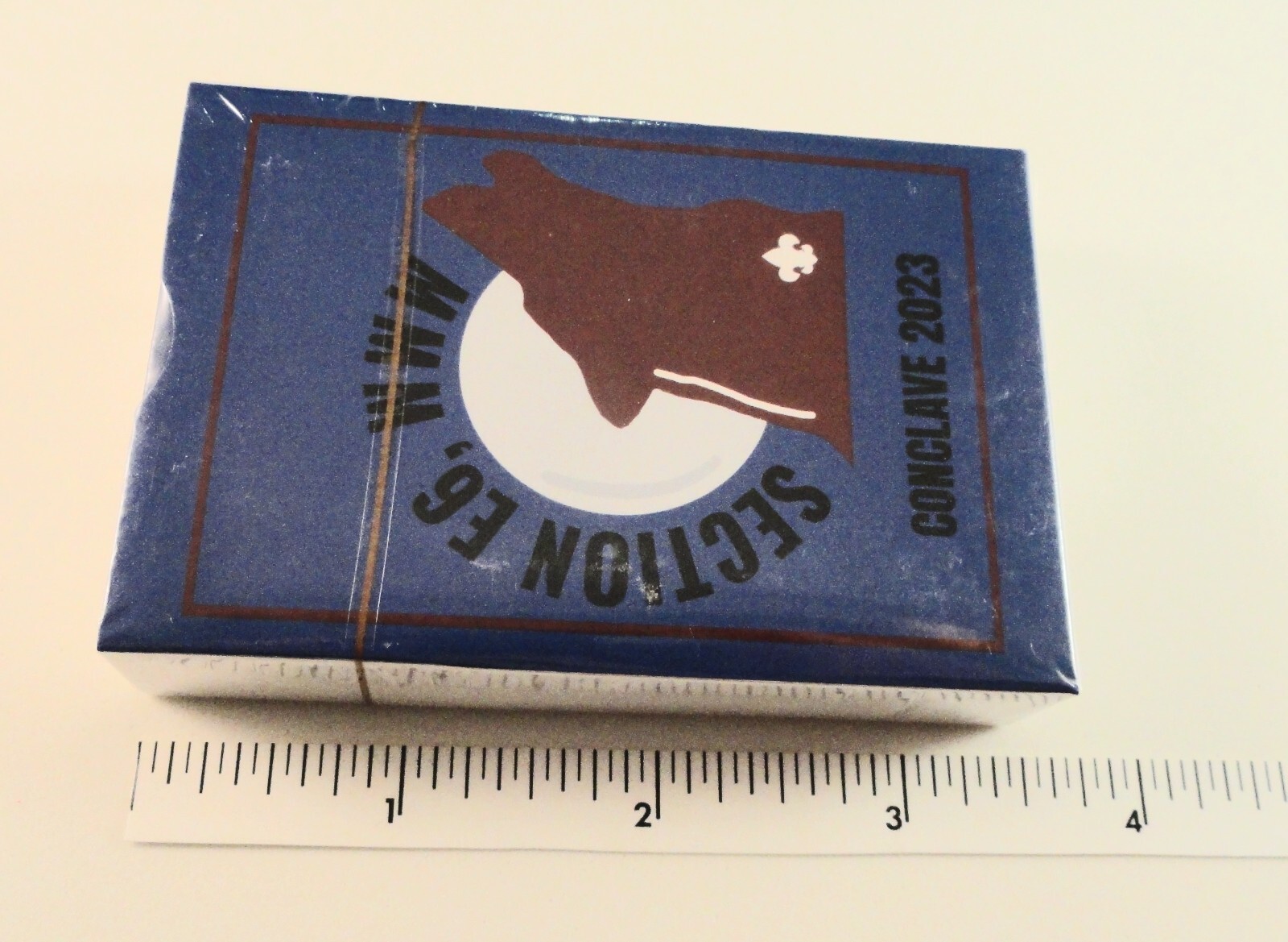 Got at 2025 Section E6 Conclave DECK of CARDS with E6 LOGO – NEW