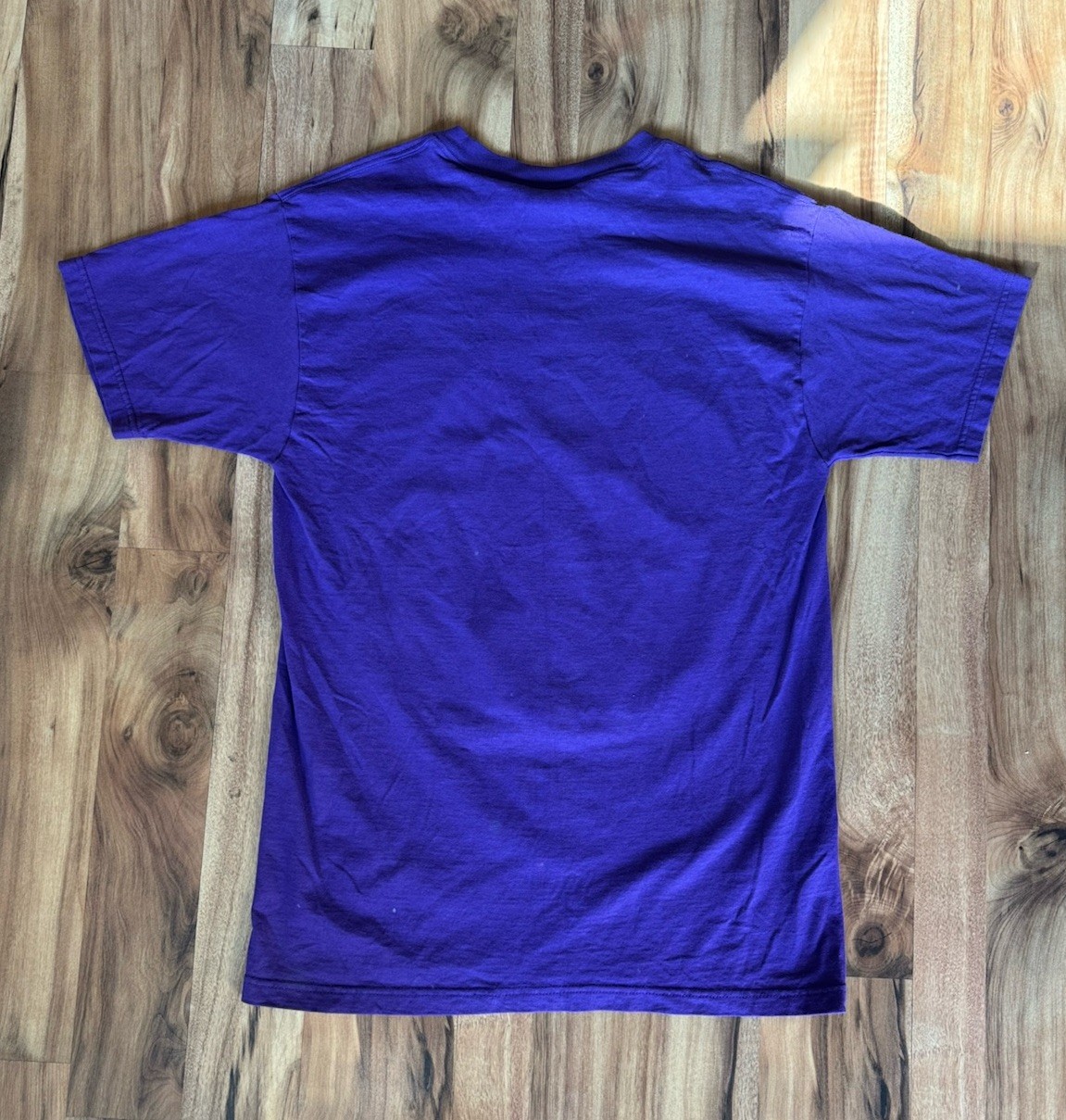NEW ORLEANS MILLENIUM 2000 Y2K MARDI GRAS Shirt Artwork By Andrea Mistretta gallery