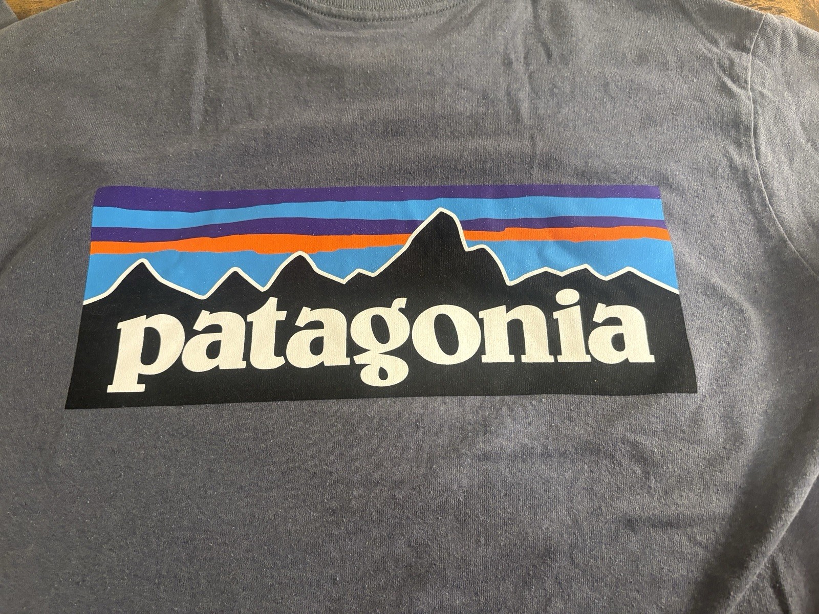 Patagonia T-Shirt Men’s Size Small Back Spell Out Classic Outdoor Grey gallery