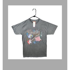 Fender Mens T Shirt Graphic Print Eagle Guitar American Flag Gray Size Medium