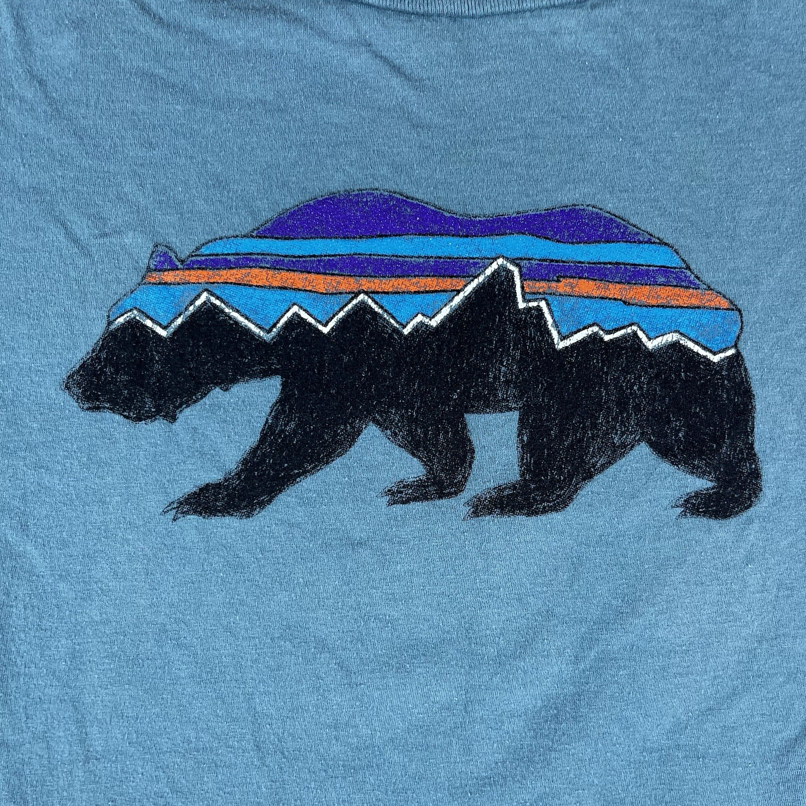 Patagonia Mens Slim Fit Small Teal Green Graphic Tshirt Bear Logo Hiking Outdoor gallery