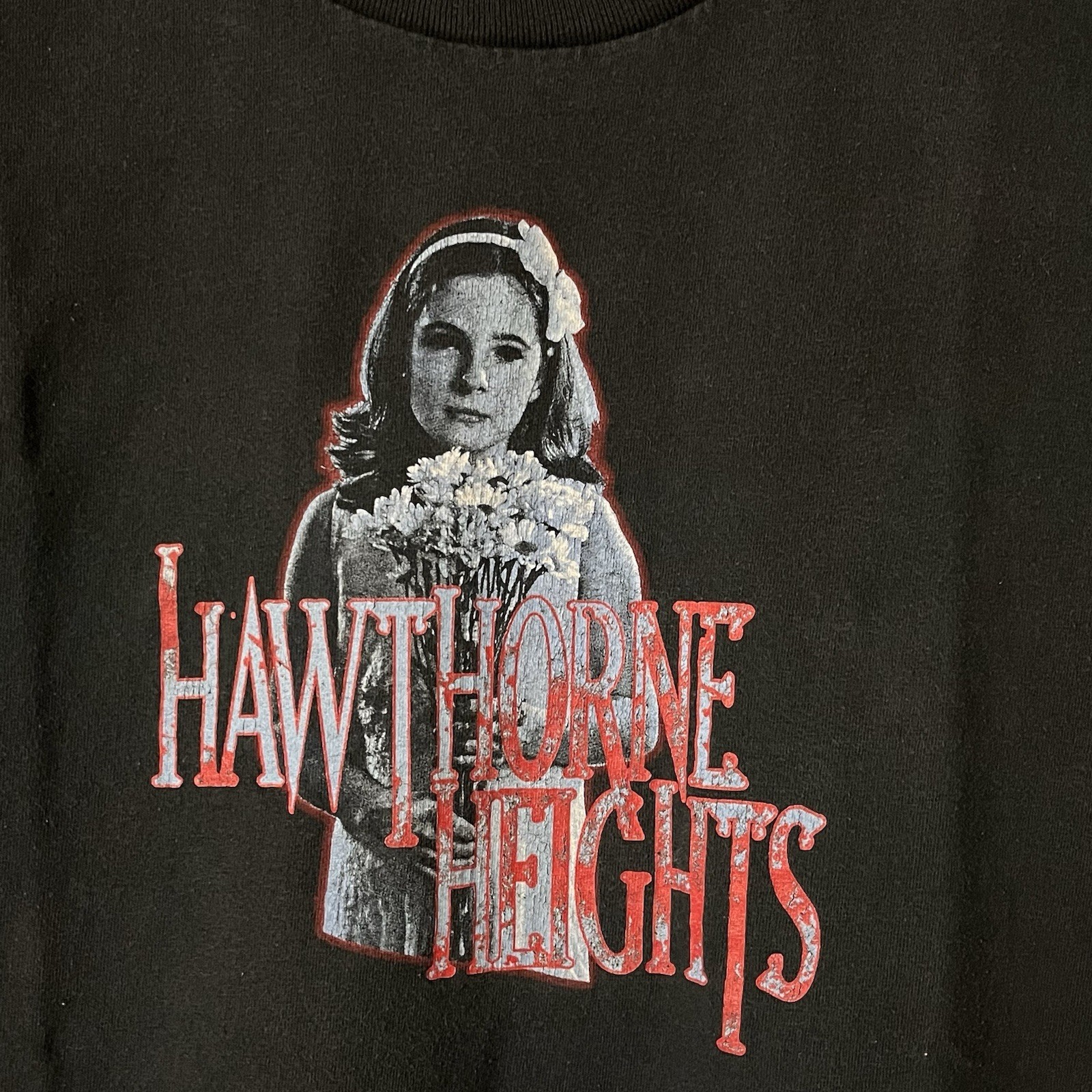 Vintage Hawthorne Heights T- Shirt Mens L Y2K Emo Band gallery