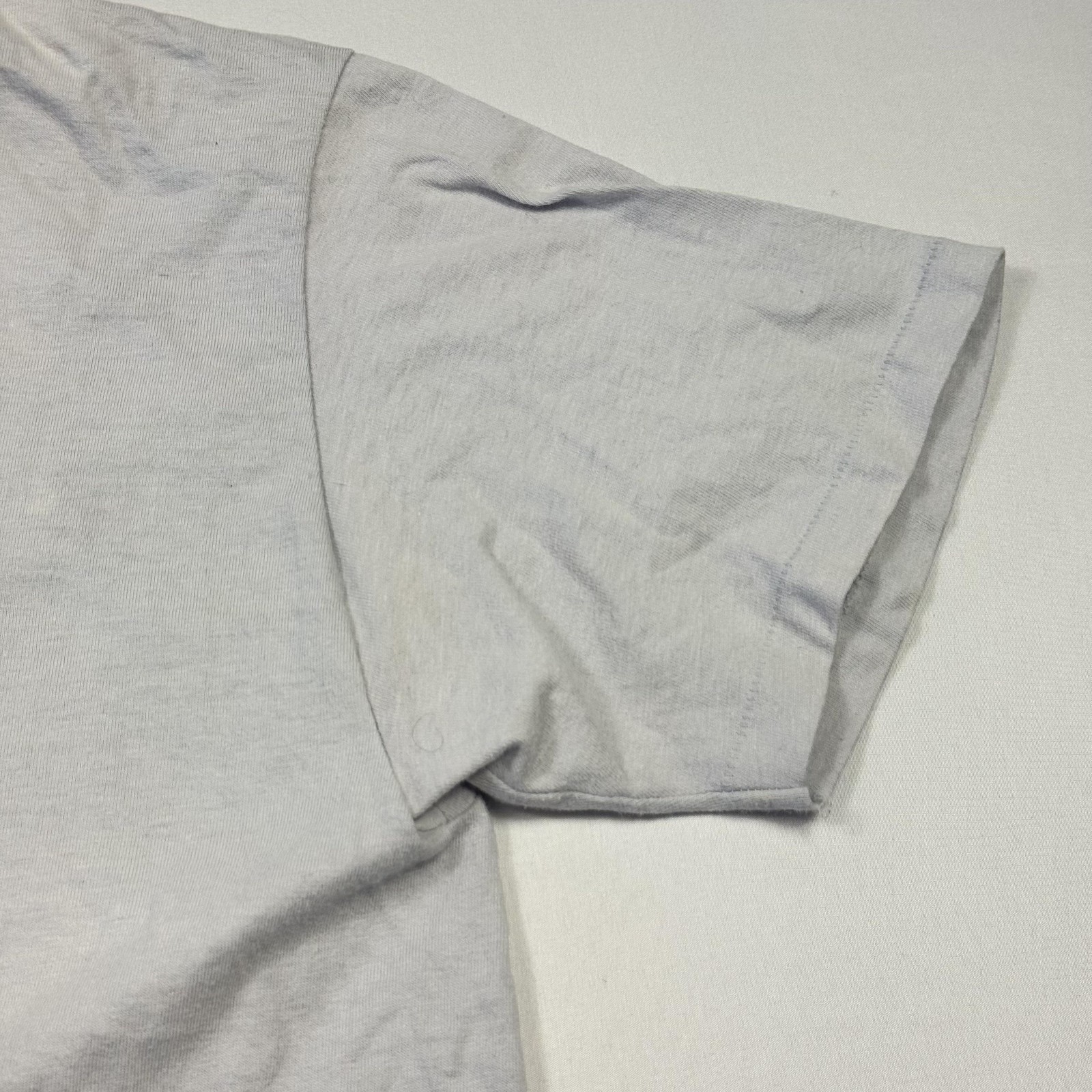 Vintage Stedman Shirt Mens XL Gray Ludington State Park Camping Graphic Tee USA gallery