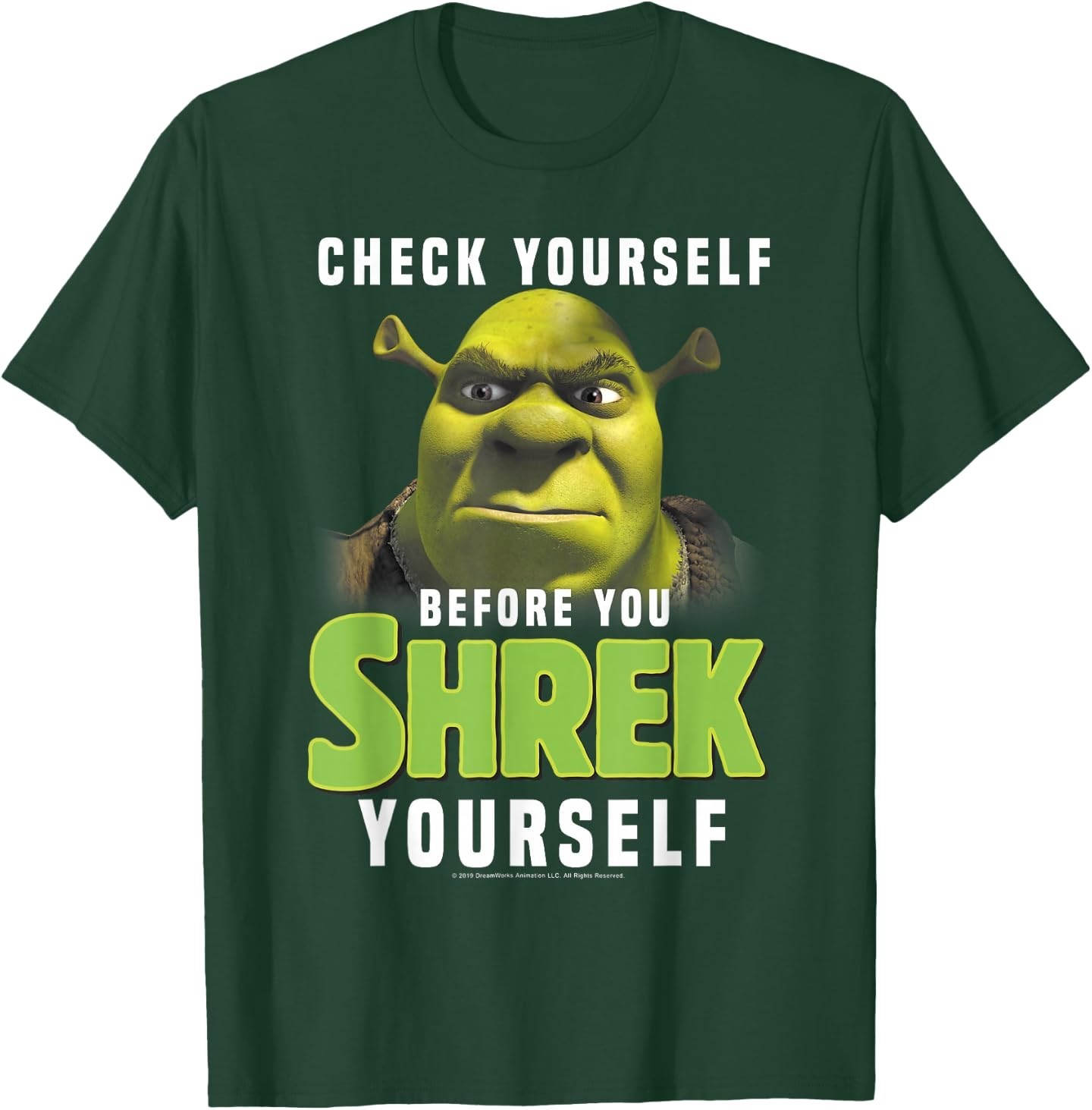 Shrek Check Yourself Before You Shrek Yourself T-Shirt gallery