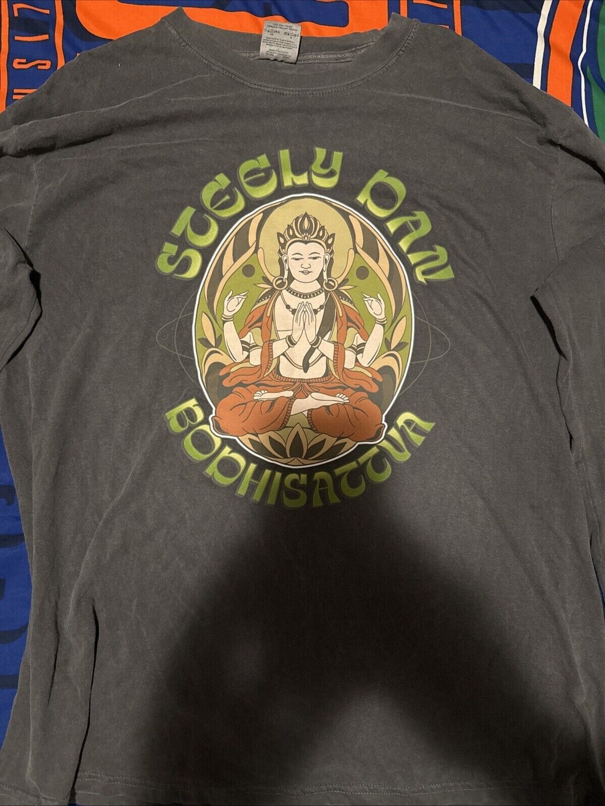 Steely Dan Bodhisattva 2024 Unisex Cotton T-Shirt S to 5XL US919 gallery