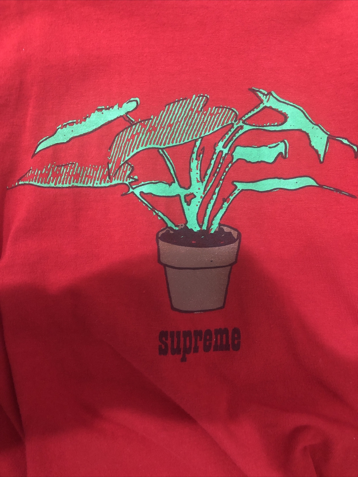 LIMITED EDITION Supreme Plant Tee Red Size M SOLD OUT ITEM FW17 100% Authentic gallery