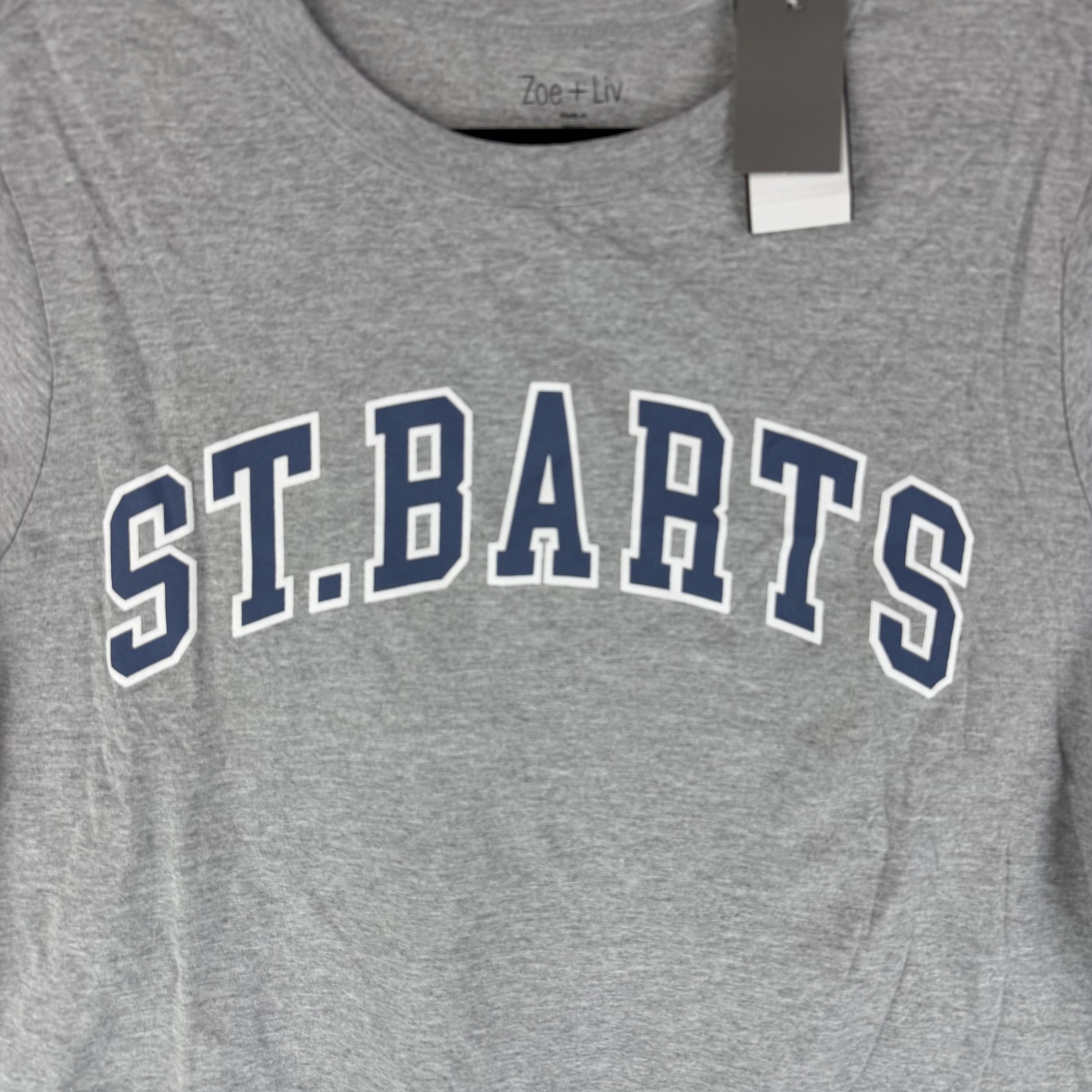 Zoe + Liv T-Shirt Mens XL Gray ST.BARTS Graphic Cotton Polyester Tagless gallery