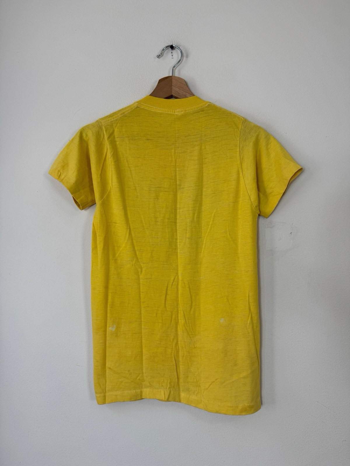 Vintage 70’s Graphic Dearborn Farms Nature Single Stitch Yellow Tee Shirt- Small gallery