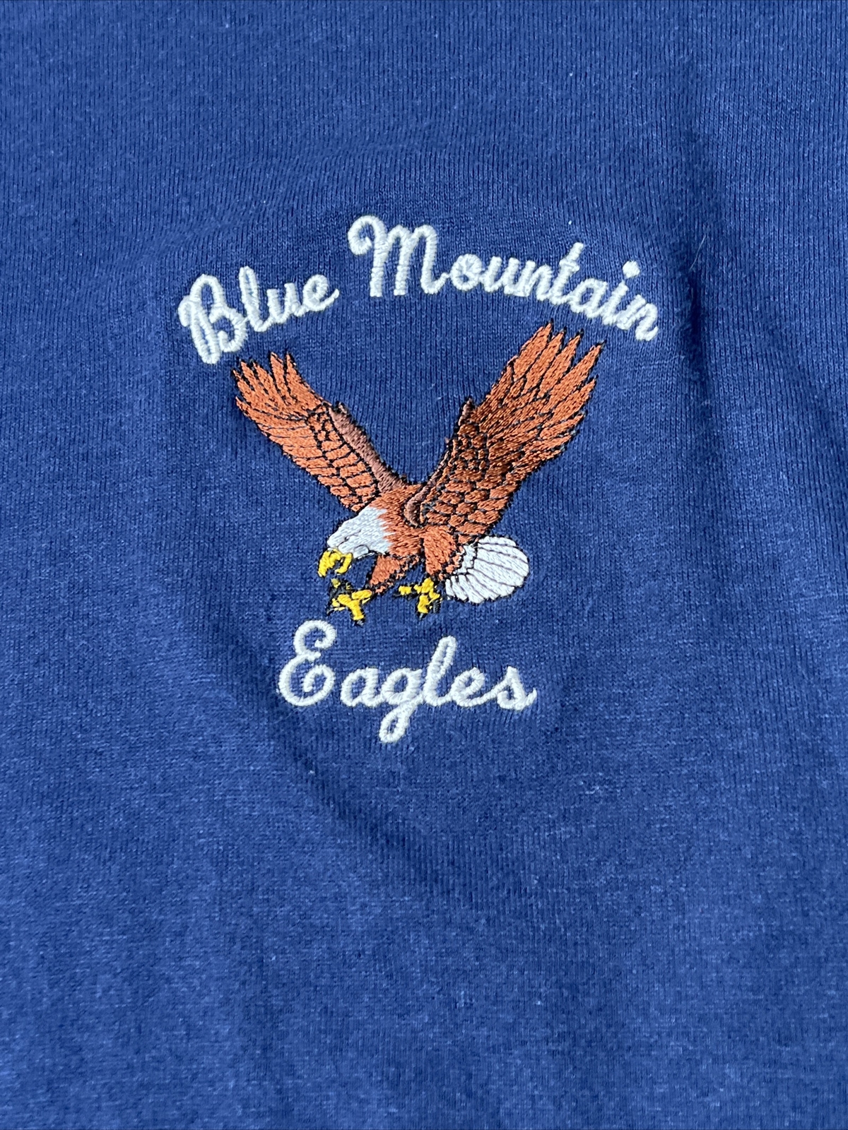 Vintage 90s HEF-T Teejays Blue Mountain Eagles Long Sleeve T Shirt Large Blue gallery