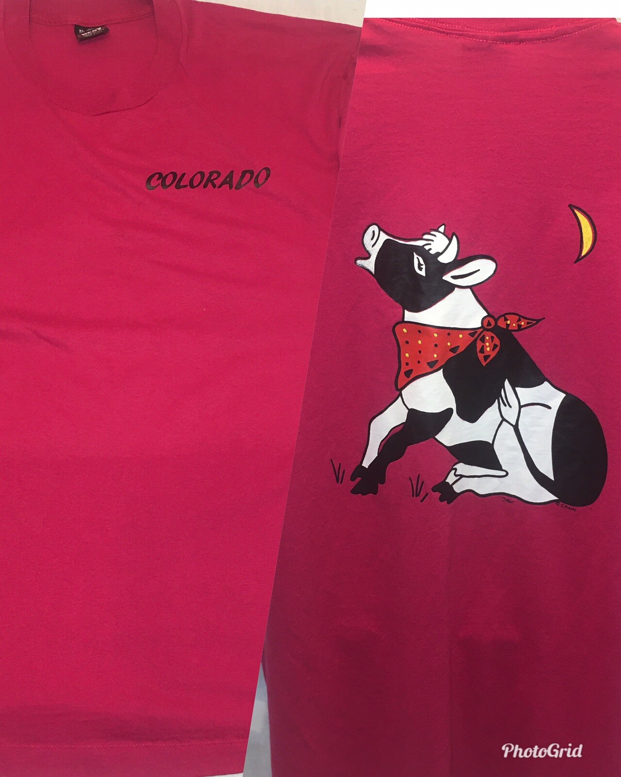 Vintage Shirt XL Fruit Loom Best Single Stitch Colorado Pink Cow Graphic 90s gallery
