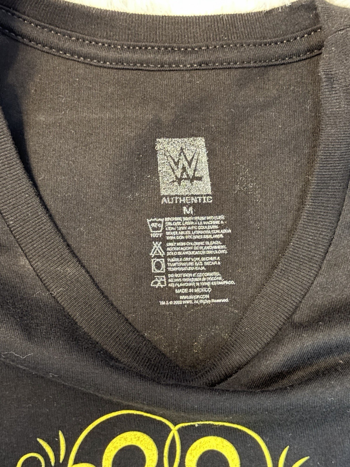 2022 WWE Summerslam Shirt, Size Medium gallery