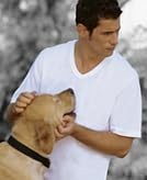Classic Men's White Short Sleeve Undershirts V Neck T Shirt - Multi & Bulk Wh... gallery
