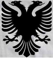 Albania Double Eagle White T-Shirt Size L Tirana Shqipëria