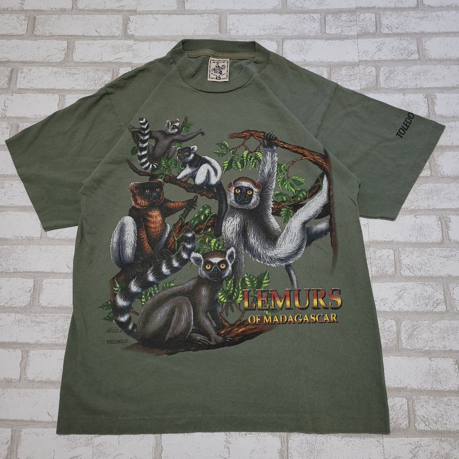 Vintage 90s Lemurs of Madagascar Toledo Zoo Green Wildlife Animals T-Shirt Men M gallery