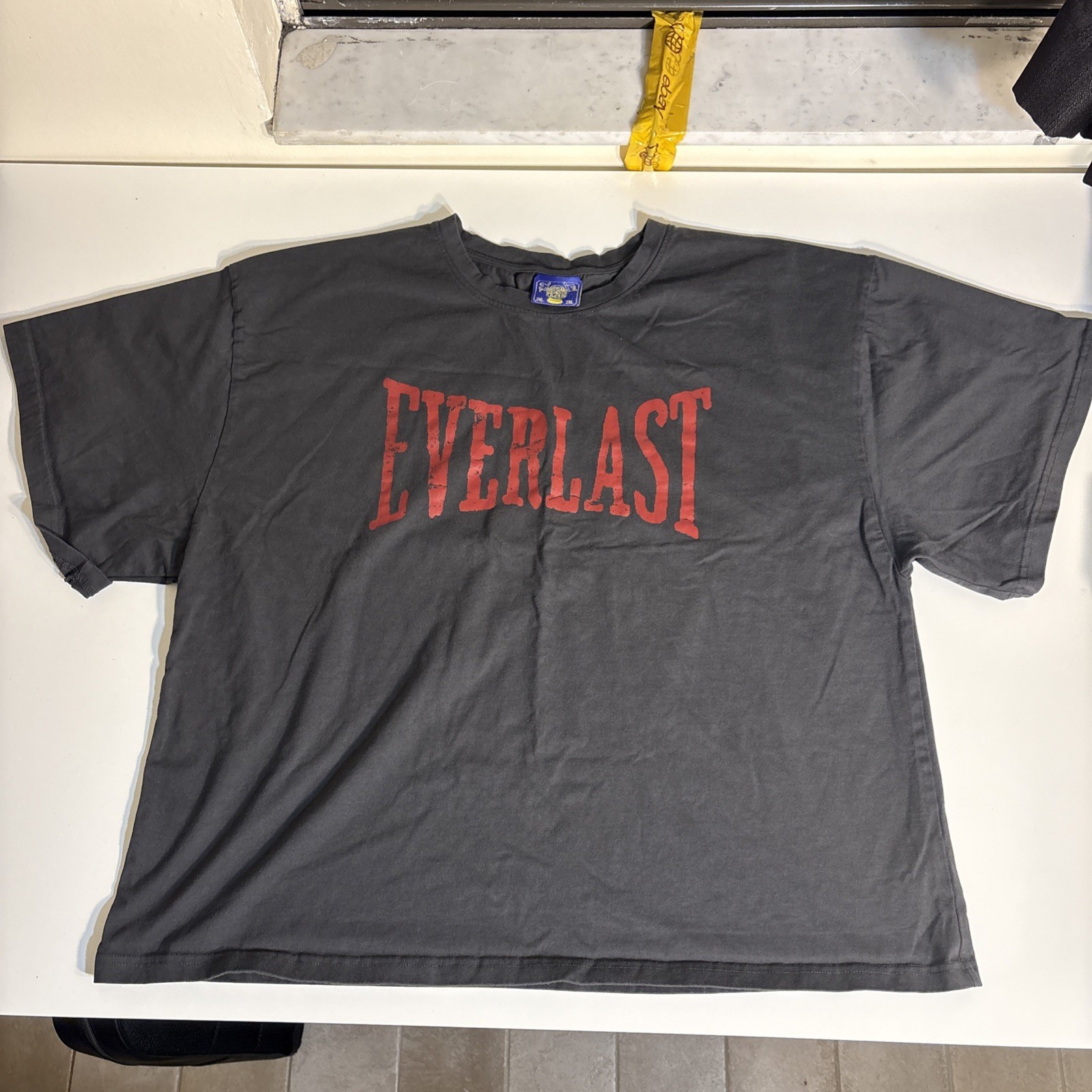 Coney Island Picnic x Everlast Faded Gray Cropped Boxy Graphic T-Shirt Mens 2XL