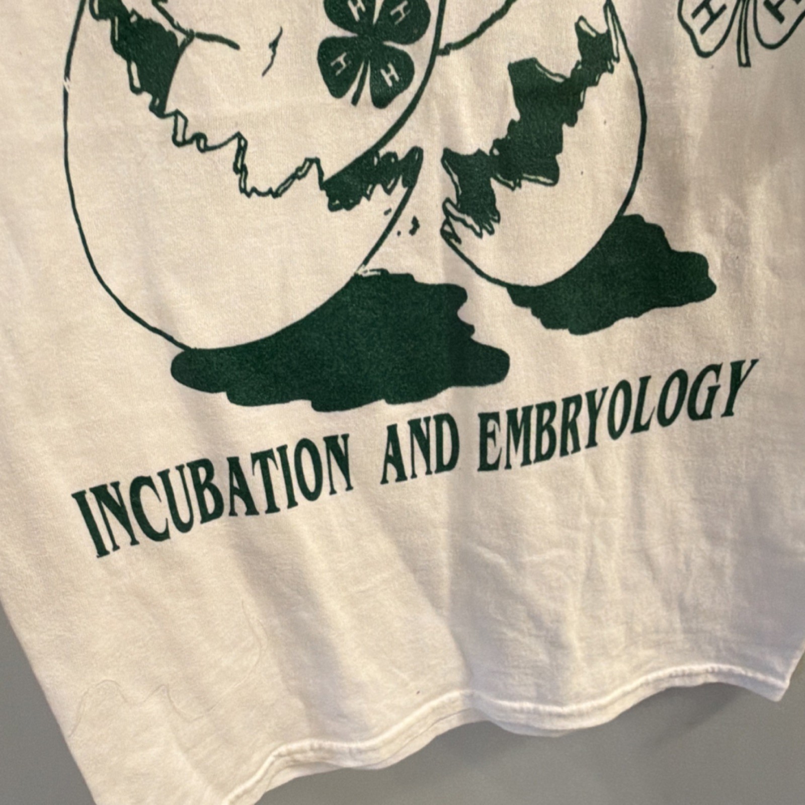 VTG 90s/00s 4-H Club T-shirt, Jerzees, Incubation & Embryology, EUC, Adult Sz SM gallery
