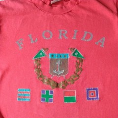 Vintage Single-Stitched Distressed Florida T-Shirt Size M