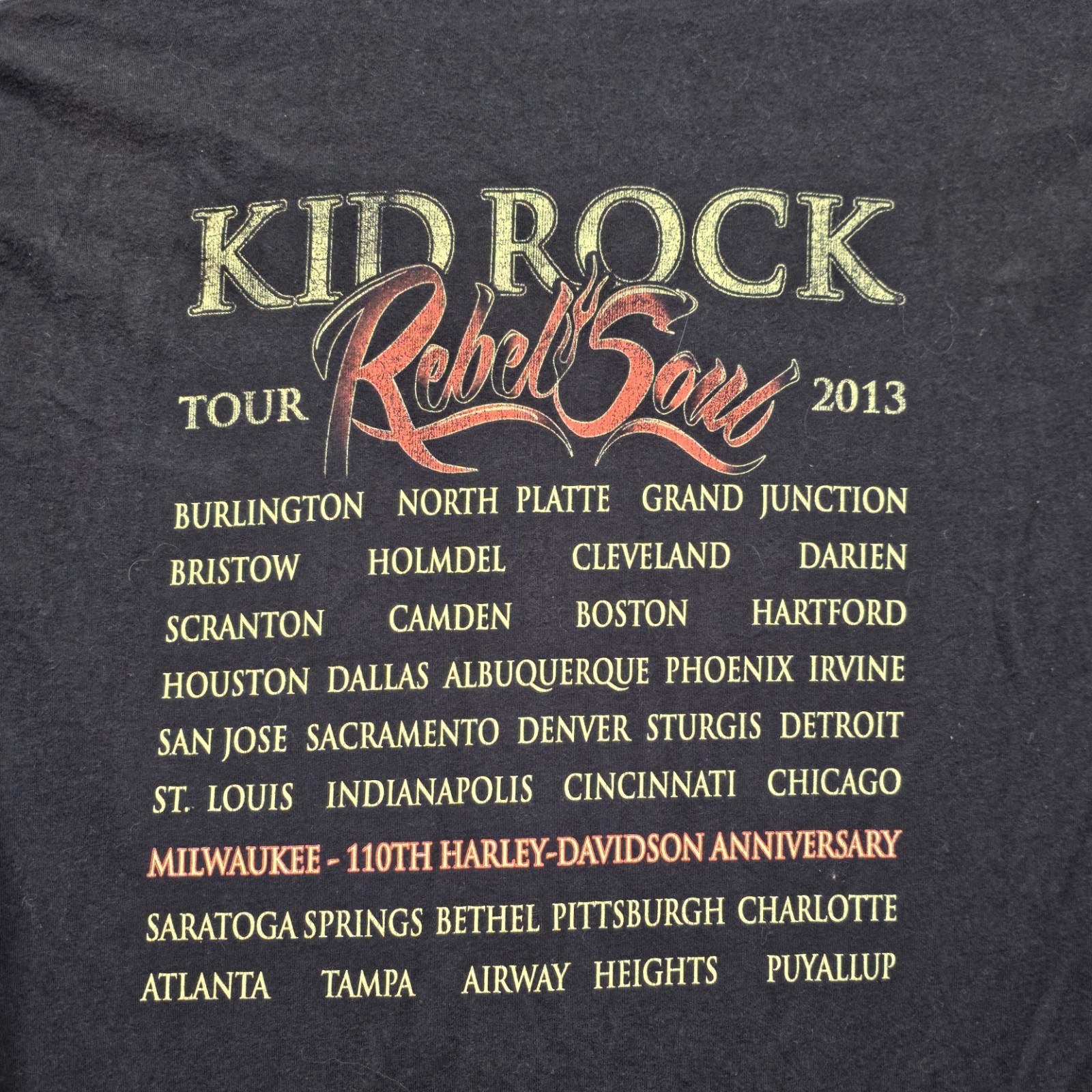 Kid Rock Rebel Soul Tour 2013 T-Shirt Large Harley Davidson 110th Skull Wings gallery