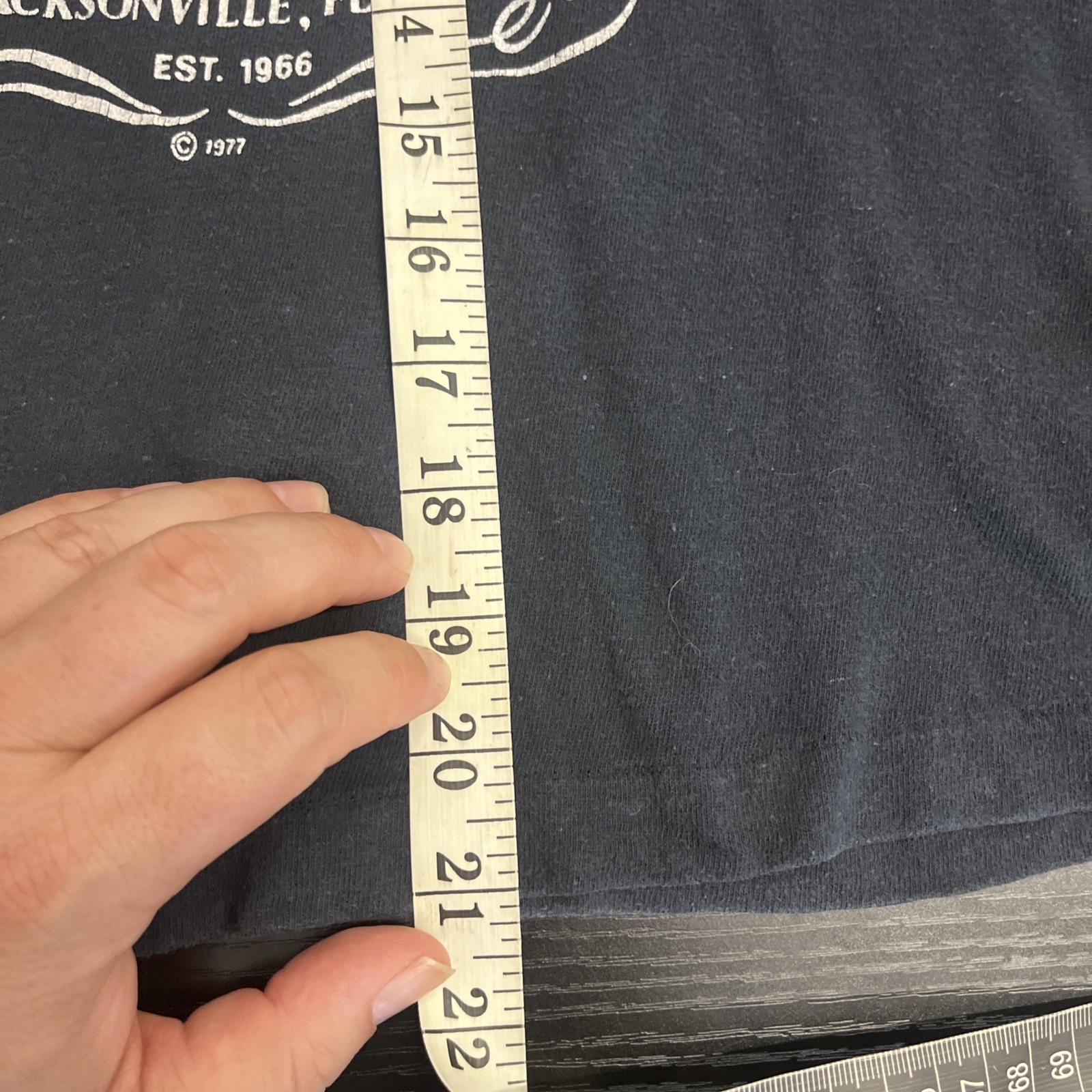 Vintage 1977 Lynyrd Skynyrd's Whisky Tour Shirt Black Size Sm34/36 Hanes Tag gallery