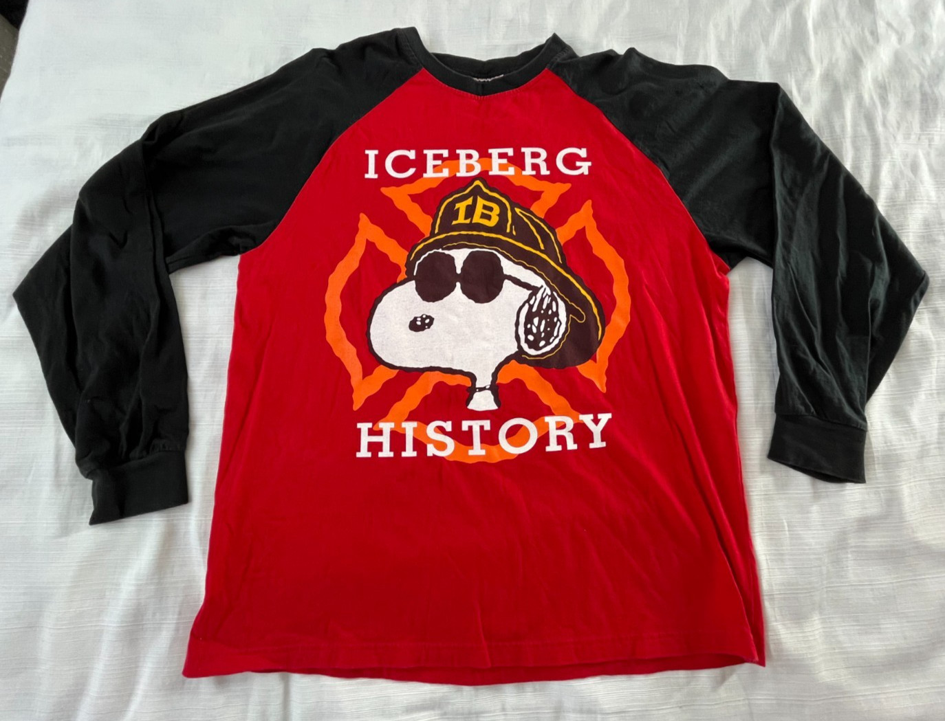Vintage Iceberg History Peanuts Snoopy Men’s Long Sleeve Shirt Size XXL ST45