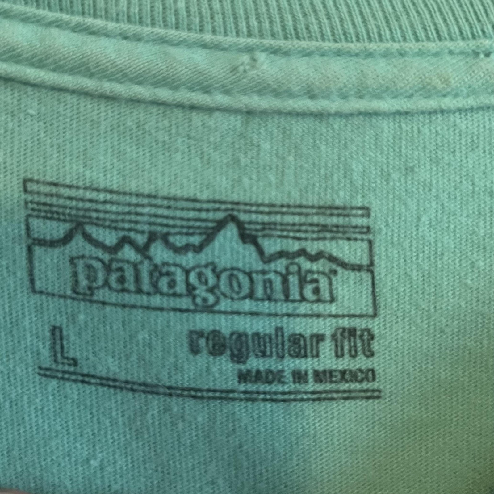 Patagonia Shirt Mens Large Green Regular Fit P-6 Logo Graphic Outdoor Tee gallery