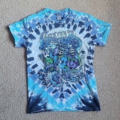 Grateful Dead Arapahoe Basin Colorado Tee Gildan Cotton Size Small Blue Tie Dye
