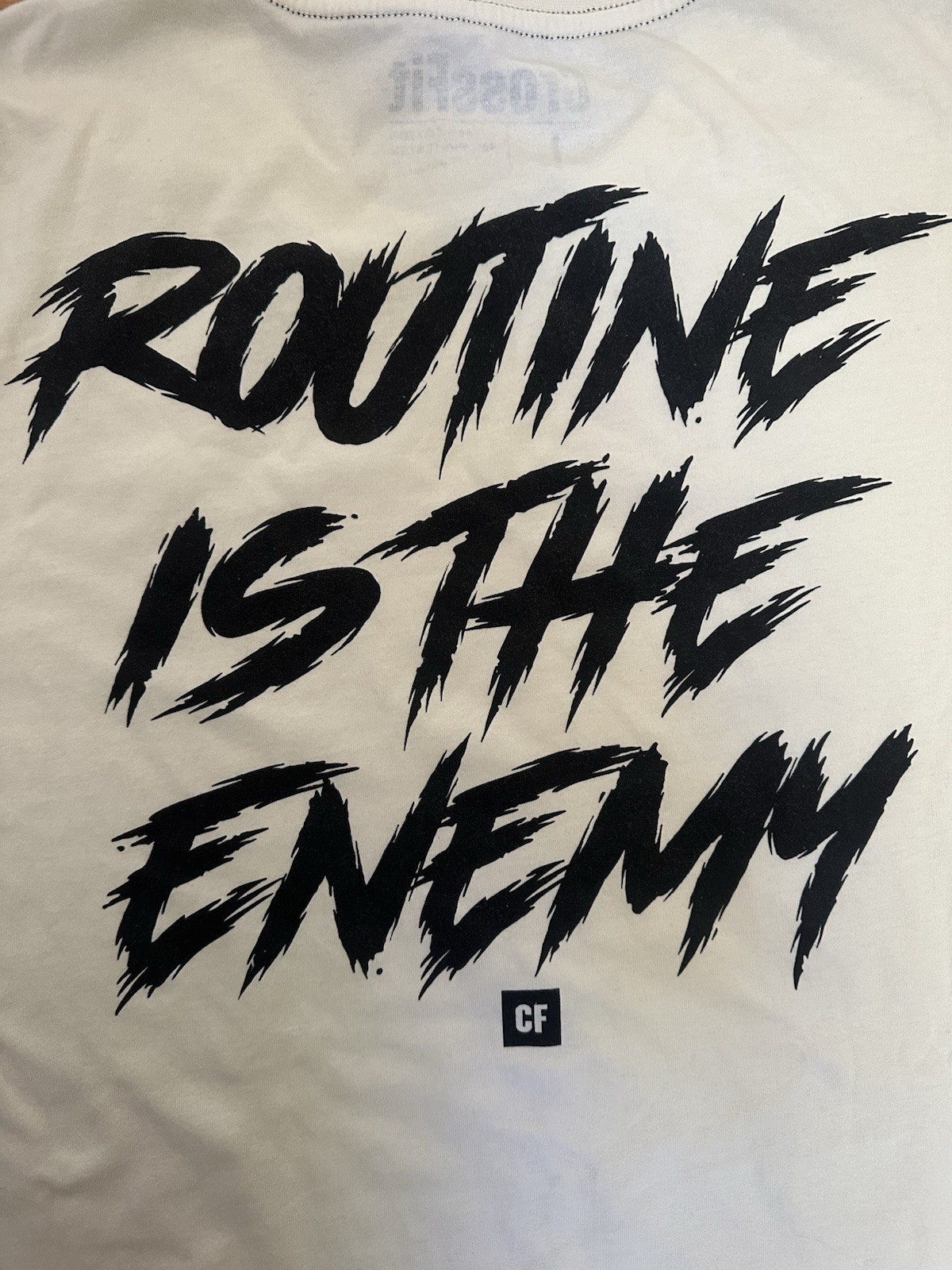 ‘Routine is the enemy’ Crossfit cream T-Shirt Men Size Large gallery