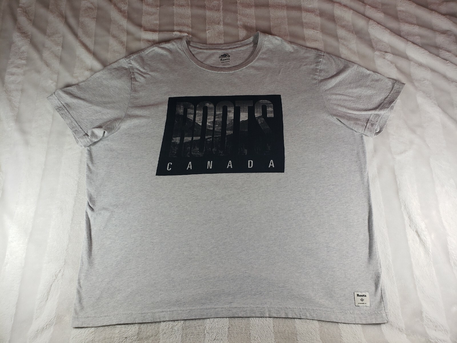Roots Canada Gray T Shirt Mens Graphic River Lake Mountains Trees Wilderness XXL