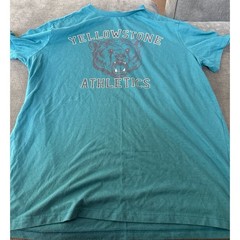 goodfellow & co t shirt men’s yellowstone athletics bear graphic tee large
