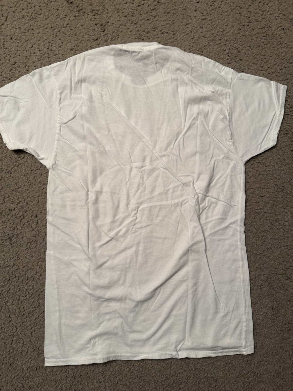 Hanes Plain White T-shirt Medium gallery