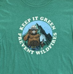 Smokey The Bear Keep It Green Prevent Wildfires T-shirt Size Large NO TAG Green