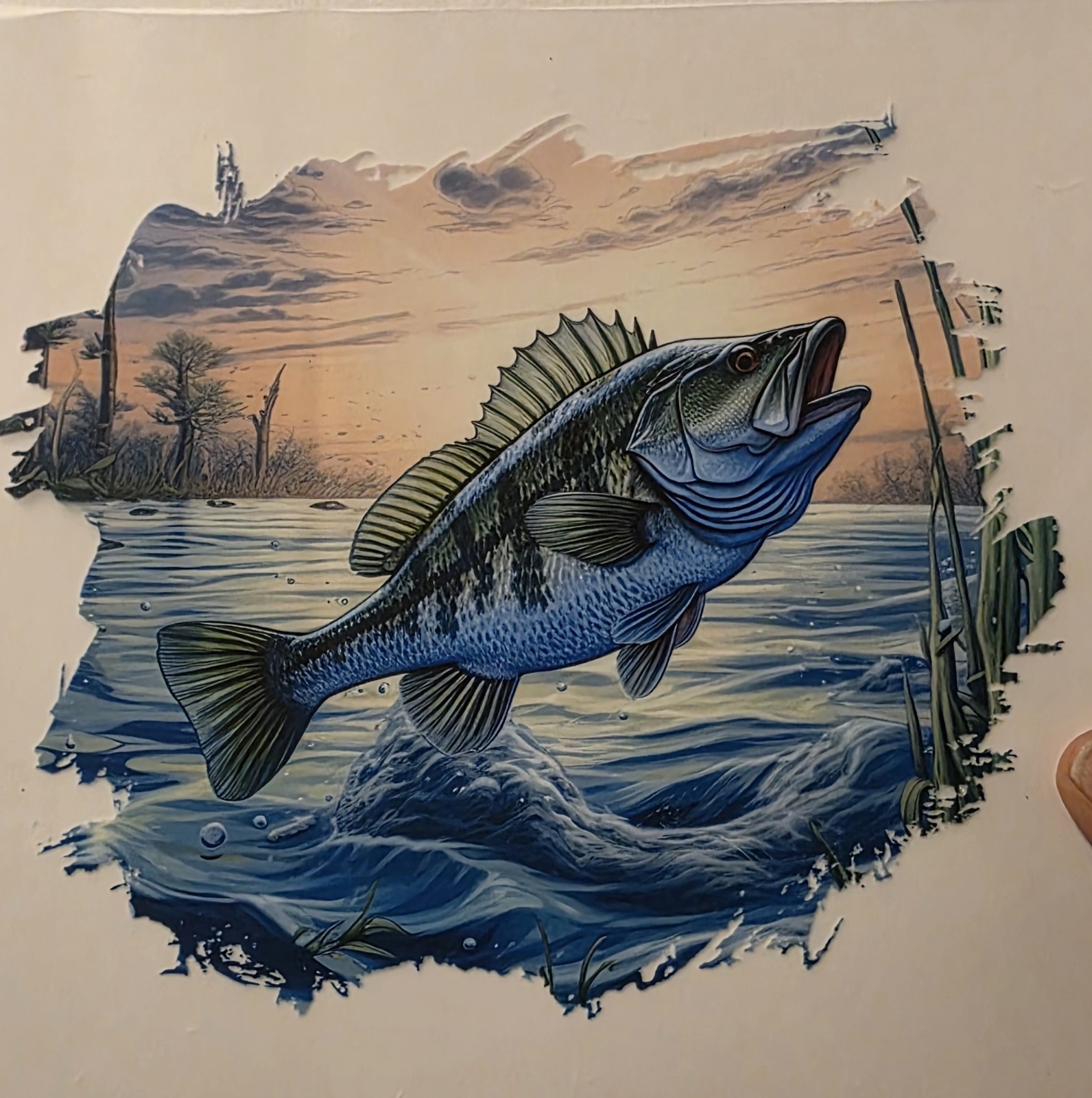 Custom Fishing Tshirts