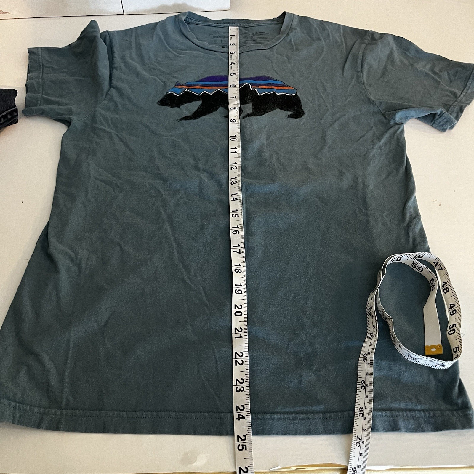 Patagonia Mens Slim Fit Small Teal Green Graphic Tshirt Bear Logo Hiking Outdoor gallery