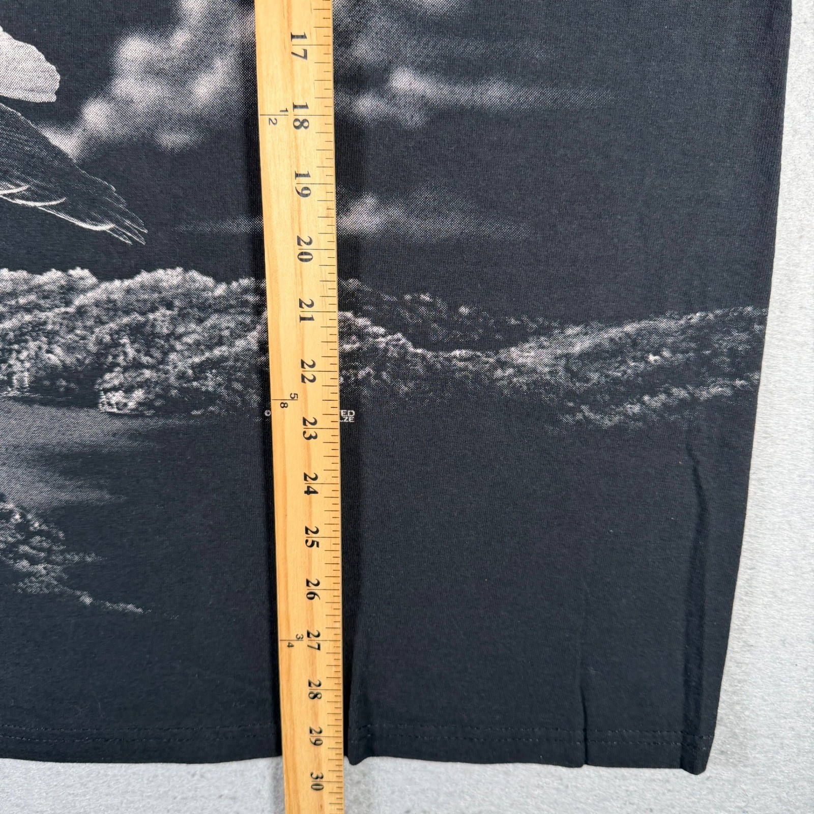 Delta Art Unlimited Mens XL Black Eagle Graphic T-Shirt Washington Souvenir Tee gallery