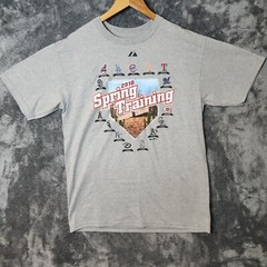 Cactus League MLB Official 2010 Spring Training Men’s Gray T-Shirt Size Medium